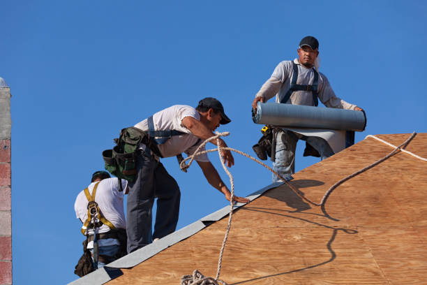 Best New Roof Installation  in Forest Lake, IL