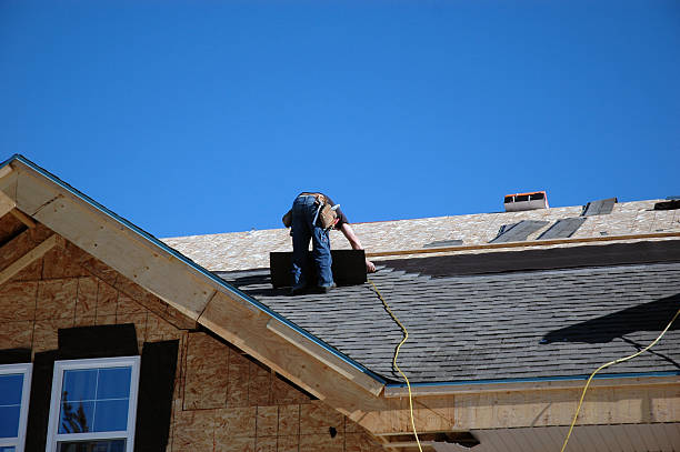 Best Storm Damage Roof Repair  in Forest Lake, IL
