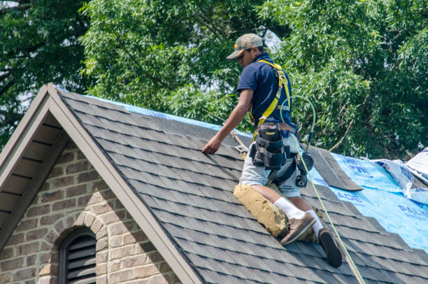 Best Residential Roofing Contractor  in Forest Lake, IL
